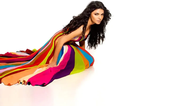 Indian Models Theme Preview Image