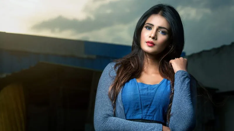 Indian Models Theme Preview Image