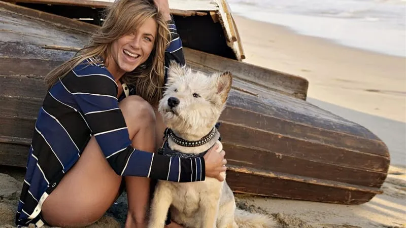 Jennifer Aniston Theme Preview Image