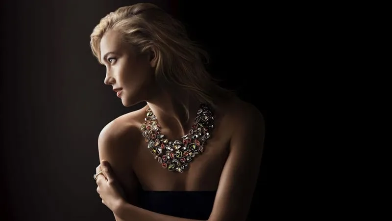 Karlie Kloss Theme Preview Image