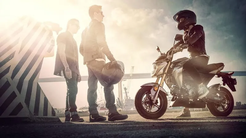 Kawasaki Z125 Pro Theme Preview Image