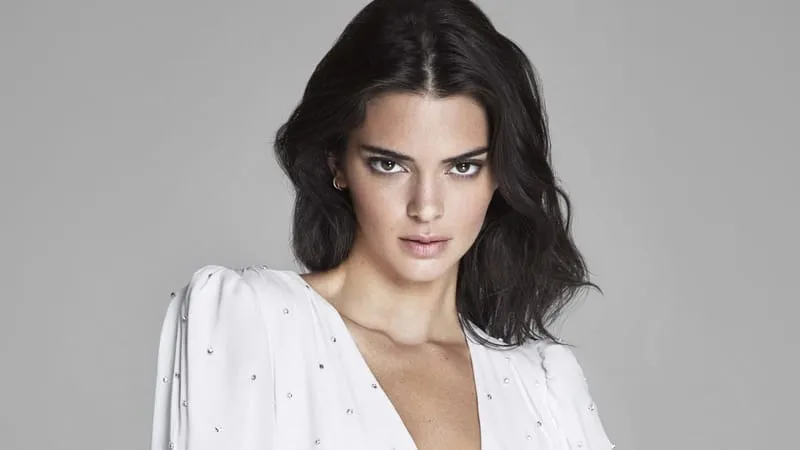 Kendall Jenner Theme Preview Image