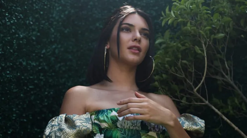 Kendall Jenner Theme Preview Image