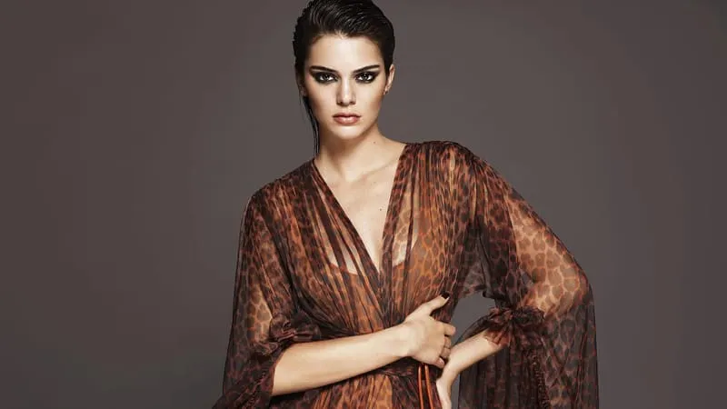 Kendall Jenner Theme Preview Image