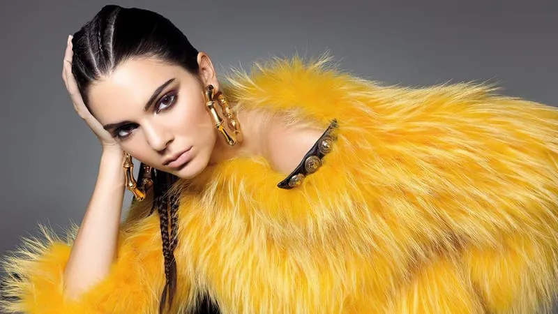 Kendall Jenner Theme Preview Image