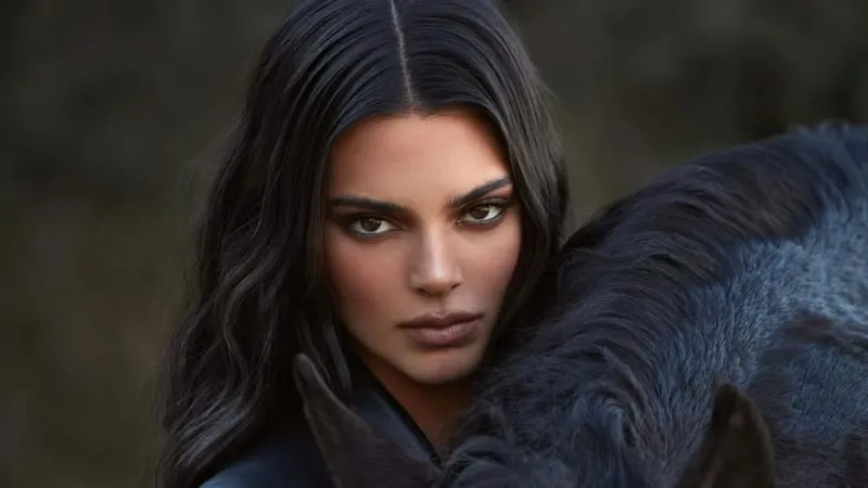 Kendall Jenner Theme Preview Image