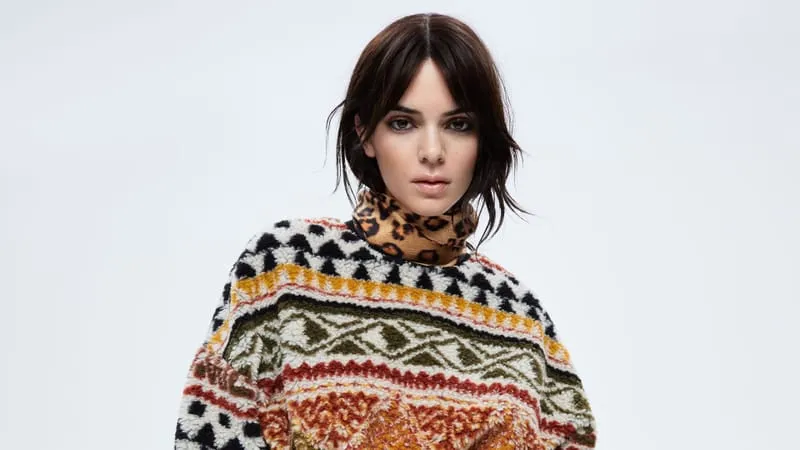 Kendall Jenner Theme Preview Image