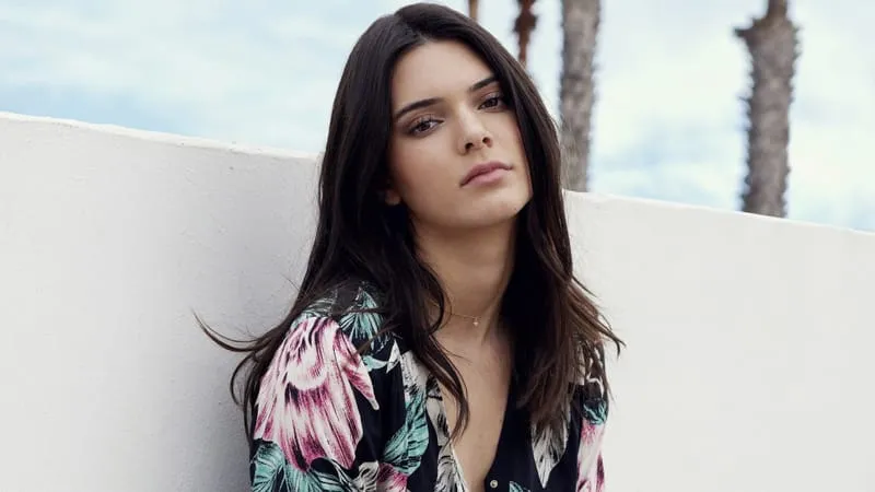 Kendall Jenner Theme Preview Image