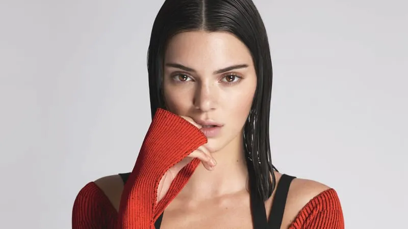 Kendall Jenner Theme Preview Image