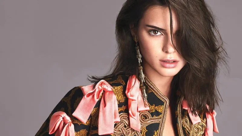 Kendall Jenner Theme Preview Image