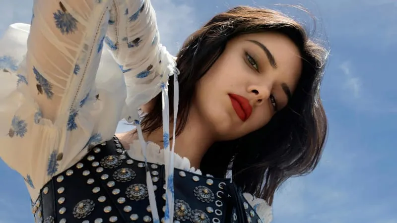 Kendall Jenner Theme Preview Image