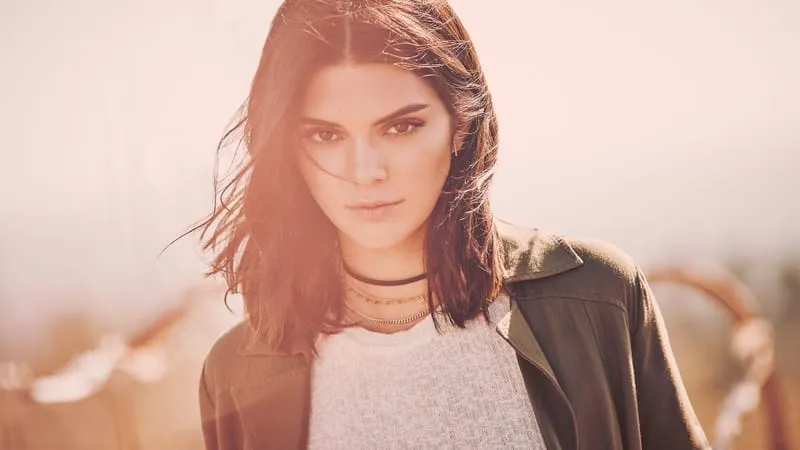 Kendall Jenner Theme Preview Image
