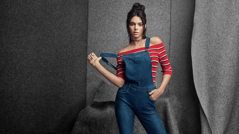 Kendall Jenner Theme Preview Image