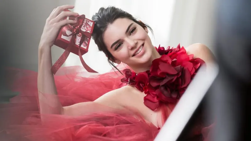 Kendall Jenner Theme Preview Image