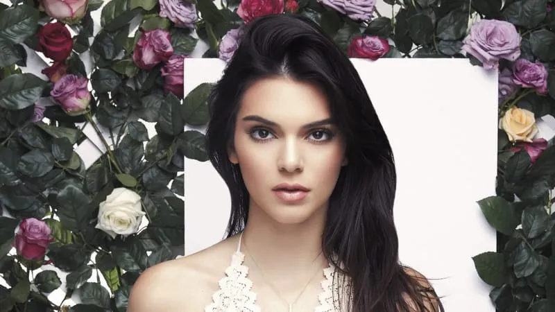 Kendall Jenner Theme Preview Image