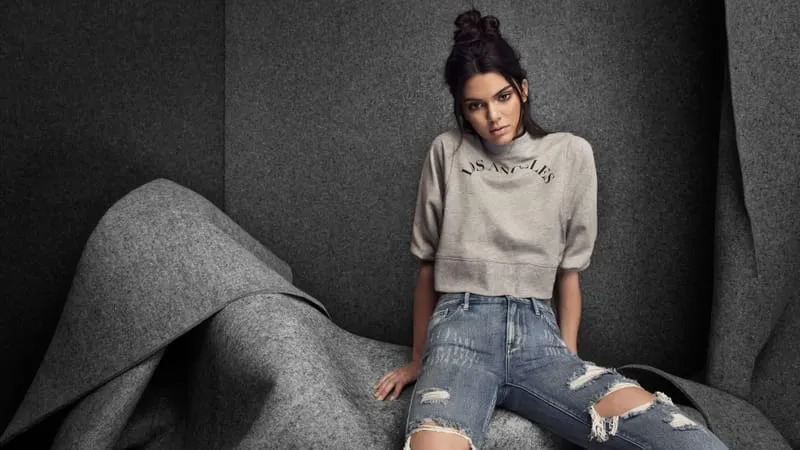 Kendall Jenner Theme Preview Image