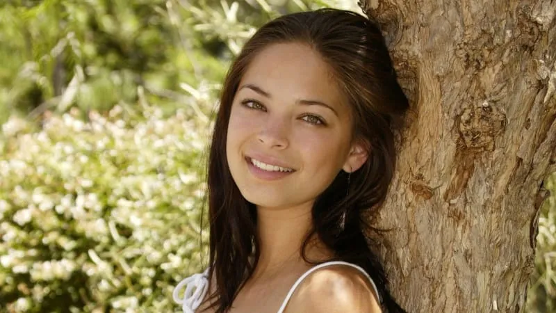Kristin Kreuk Theme Preview Image