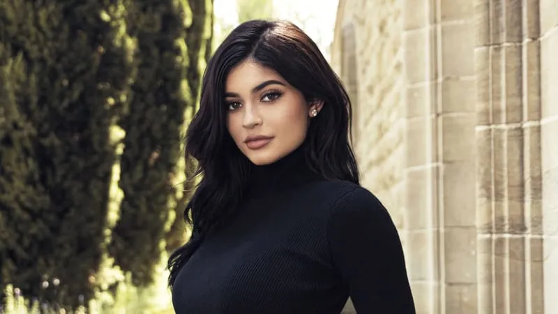 Kylie Jenner Theme Preview Image