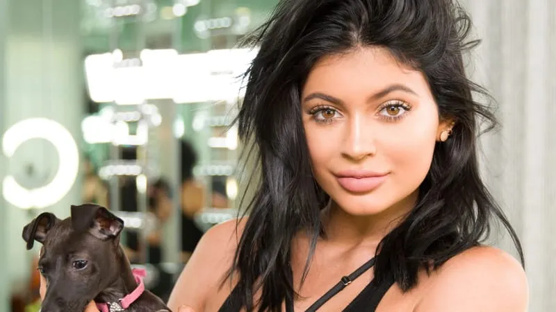 Kylie Jenner Theme Preview Image