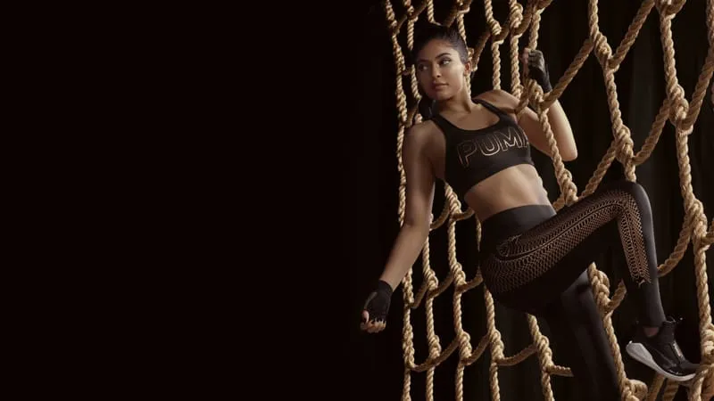 Kylie Jenner Theme Preview Image