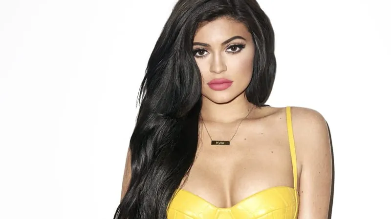 Kylie Jenner Theme Preview Image
