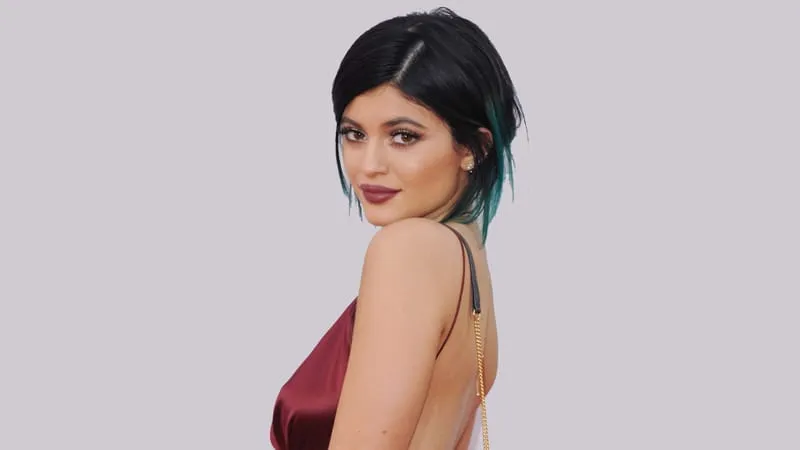 Kylie Jenner Theme Preview Image