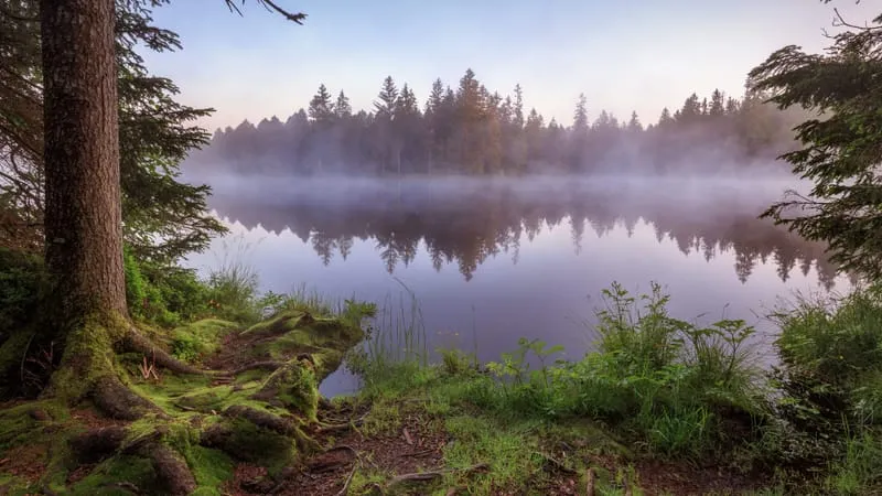 Lake V 2 Theme Preview Image