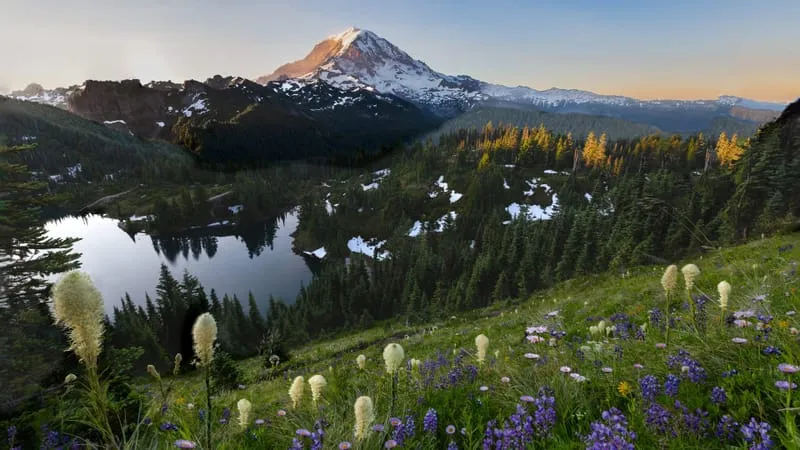 Lake V 2 Theme Preview Image