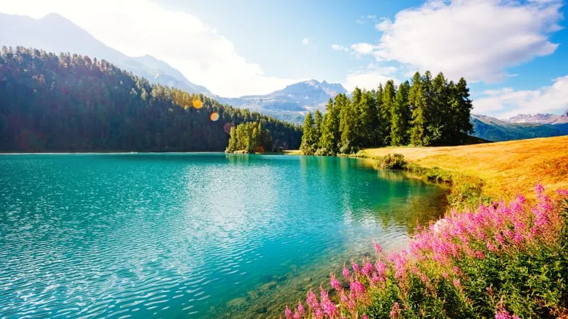 Lake V 2 Theme Preview Image