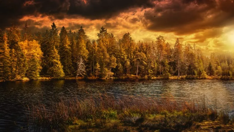 Lake V 2 Theme Preview Image