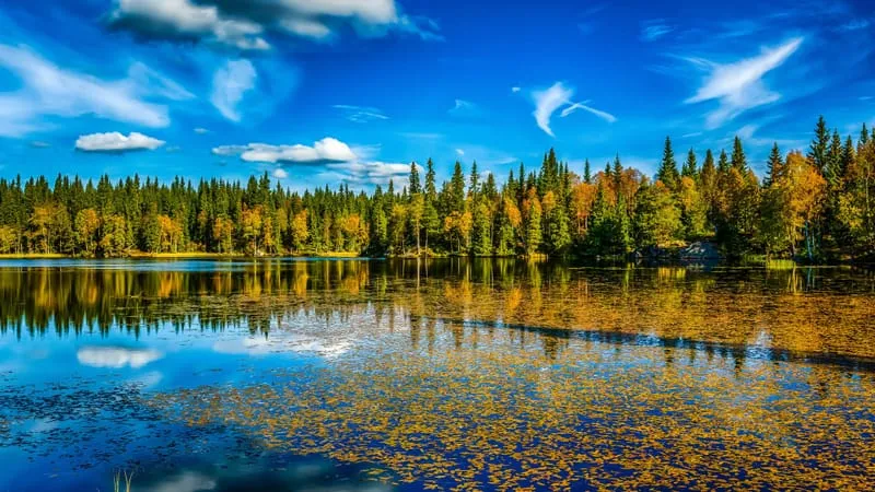 Lake V 2 Theme Preview Image