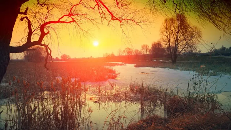 Lake V 2 Theme Preview Image