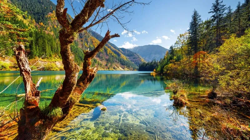 Lake V 2 Theme Preview Image