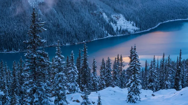 Lake V 2 Theme Preview Image