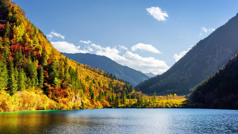 Lake V 2 Theme Preview Image