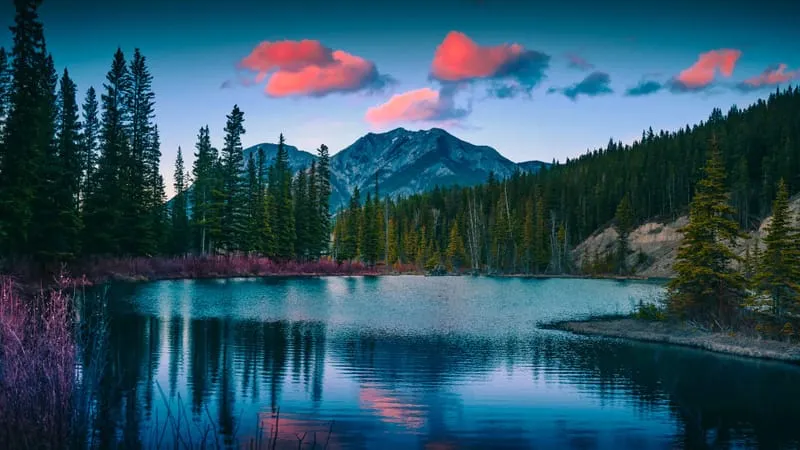 Lake V 2 Theme Preview Image