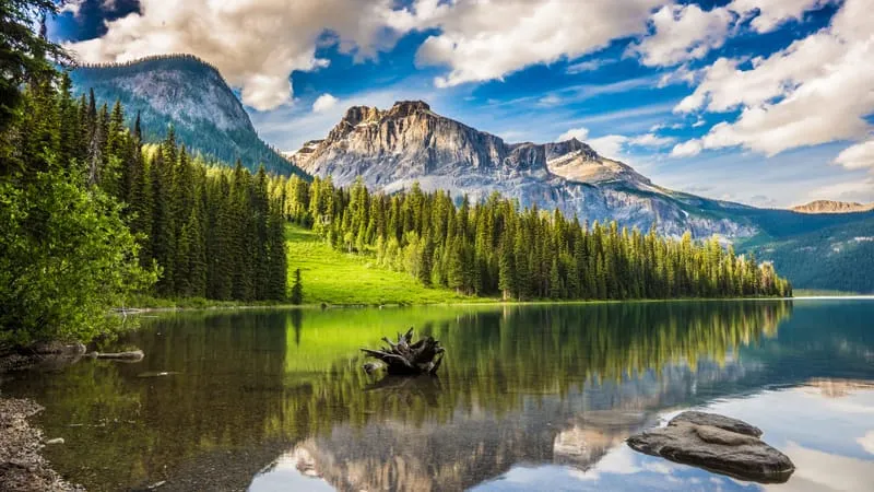 Lake V 2 Theme Preview Image