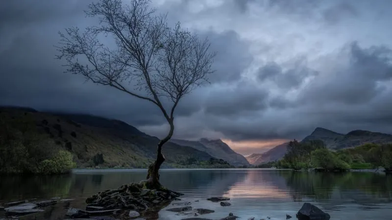 Lake Theme Preview Image