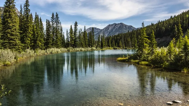 Lake Theme Preview Image