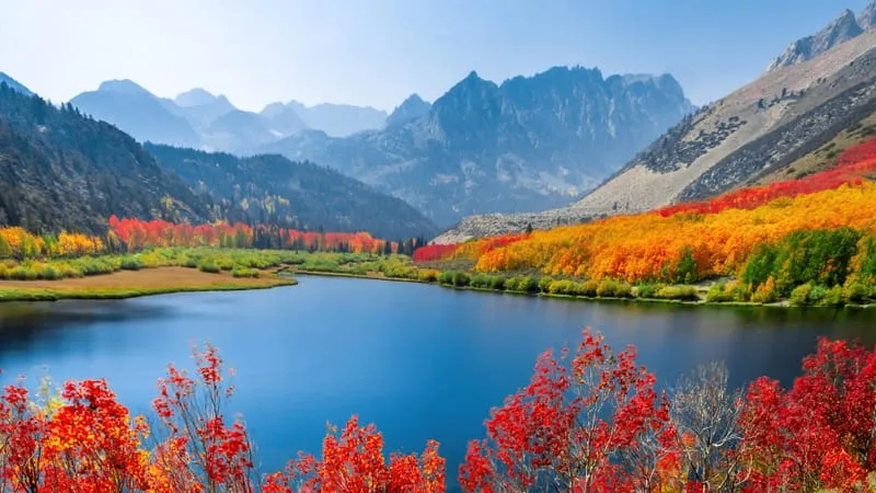 Lake Theme Preview Image