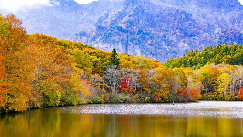 Lake Theme Preview Image