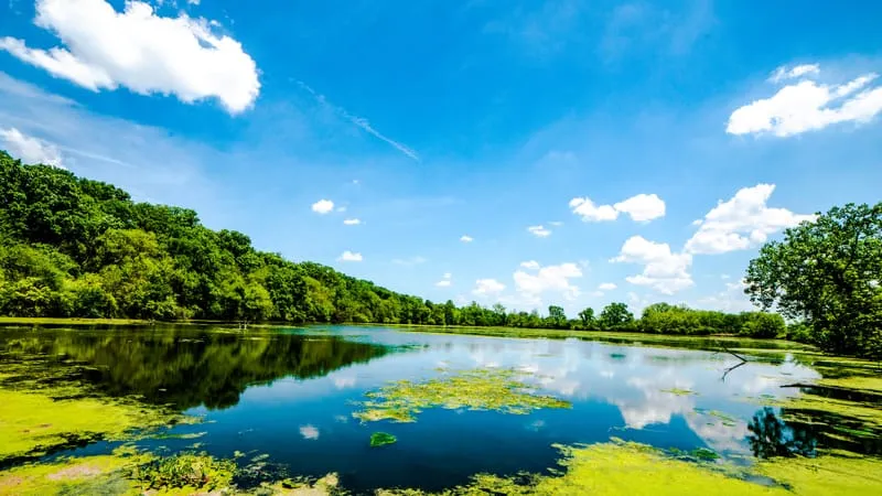 Lake Theme Preview Image