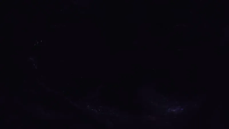 Last Epoch Theme Preview Image