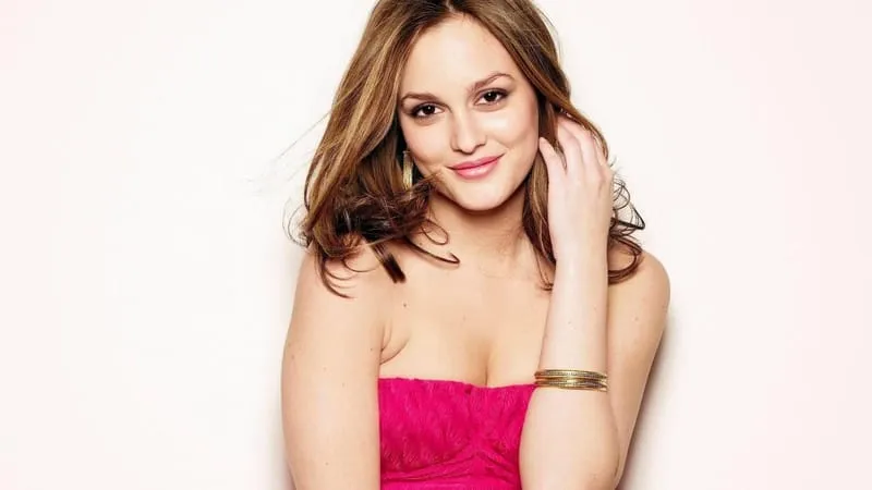 Leighton Meester Theme Preview Image