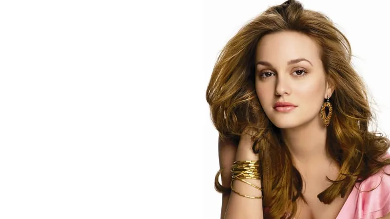 Leighton Meester Theme Preview Image