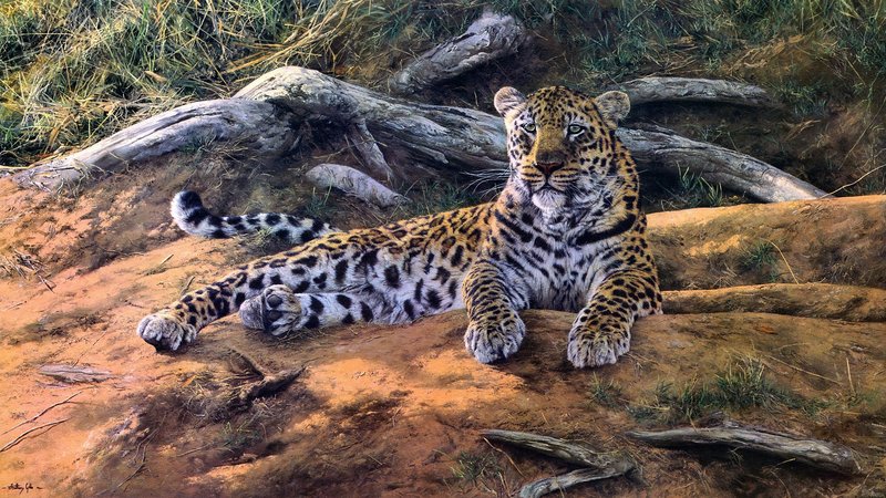 Leopard Theme Preview Image