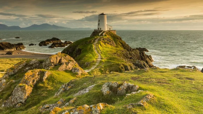 Lighthouse Theme Preview Image
