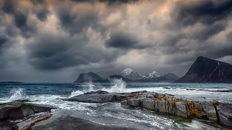 Lofoten Theme Preview Image
