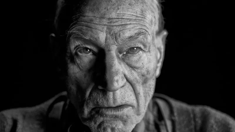 Logan Theme Preview Image