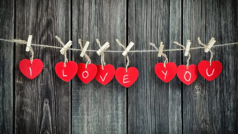 Love Theme Preview Image